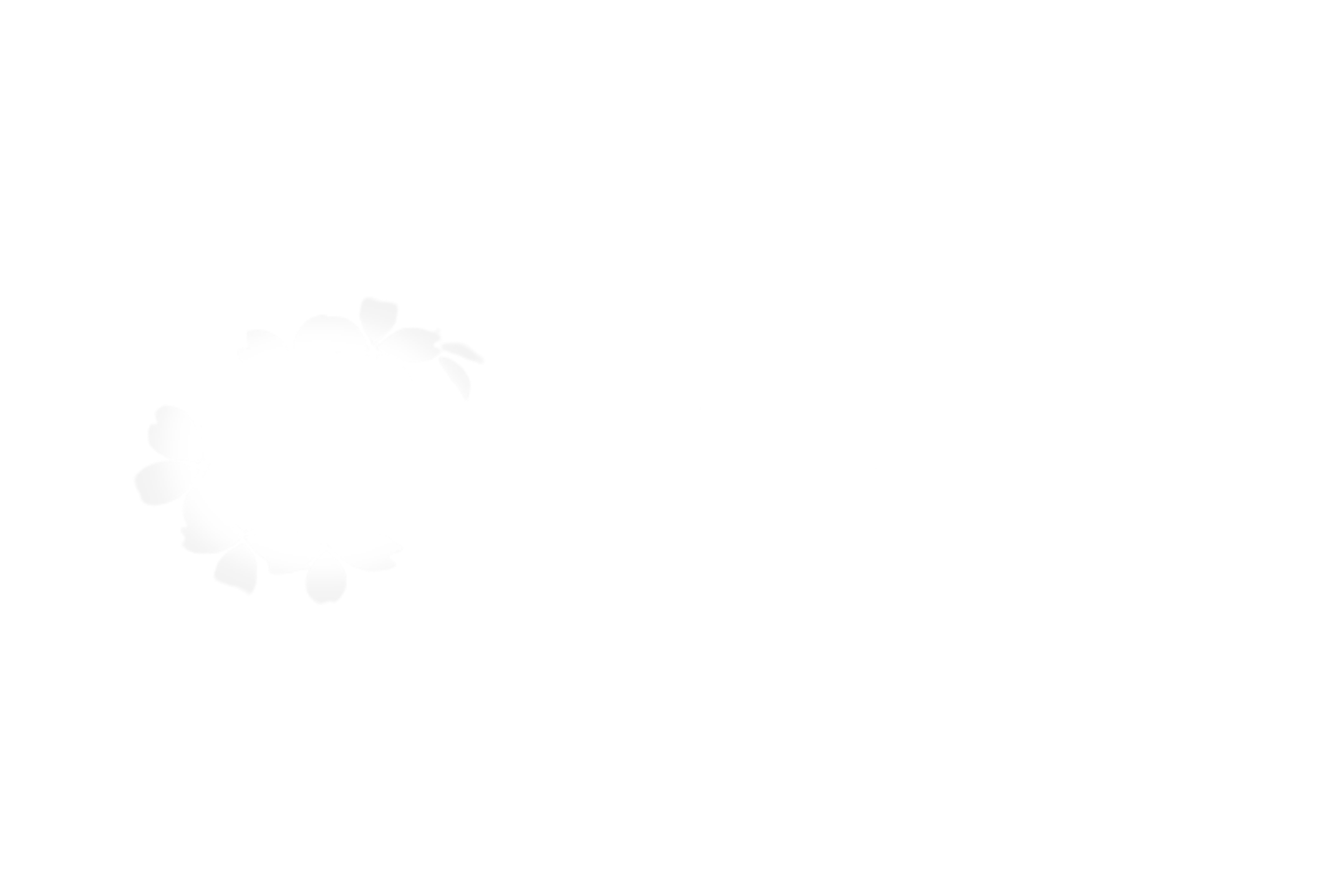Aux Délicatesses
