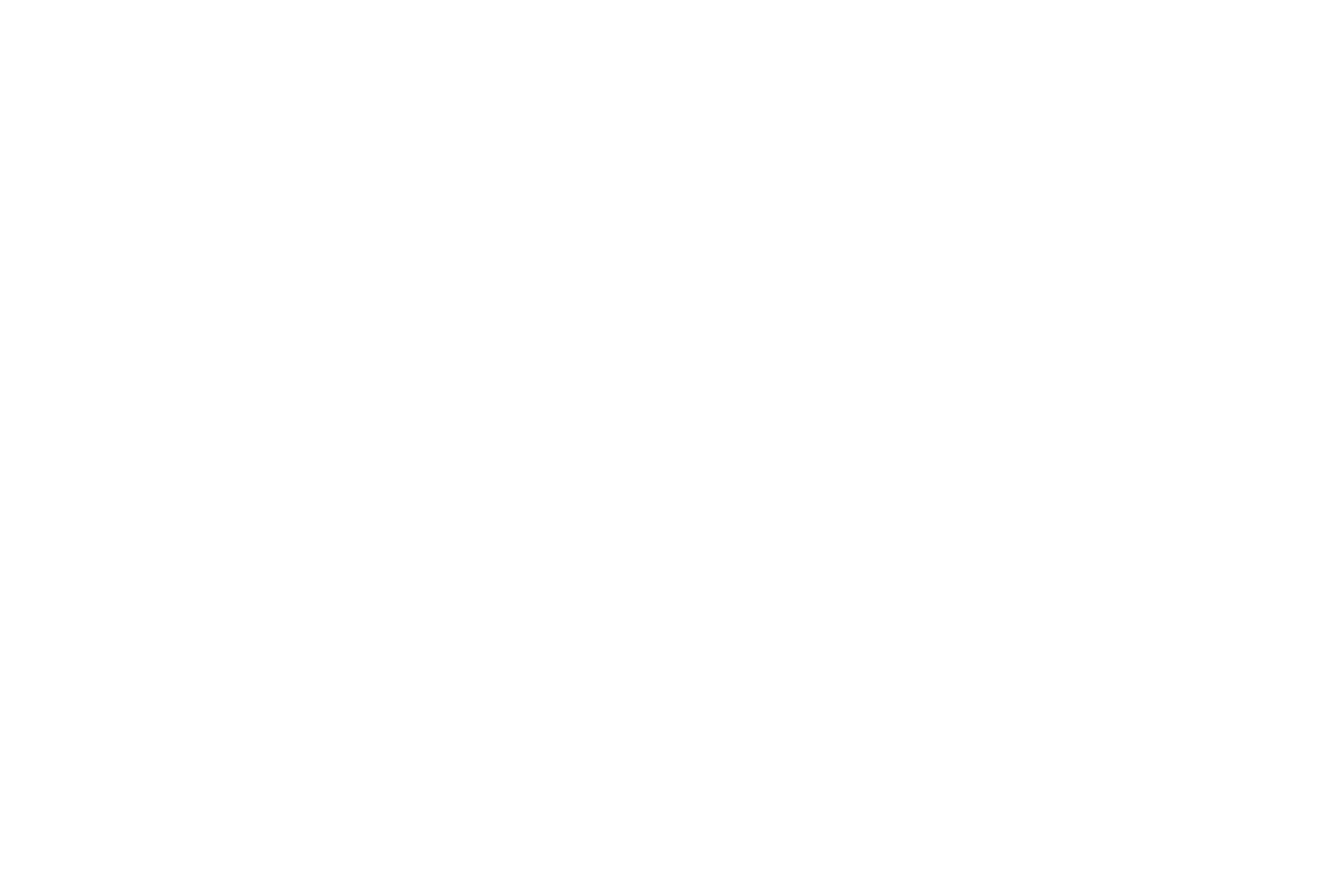 Night Animation