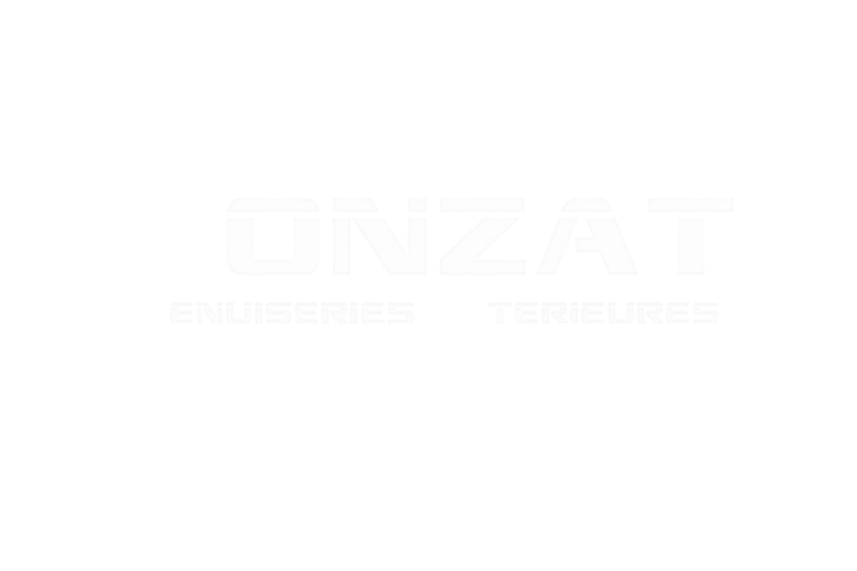 Ronzat